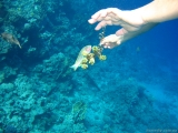 img_9389